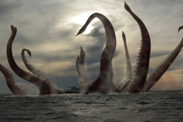 Kraken зеркало рабочее